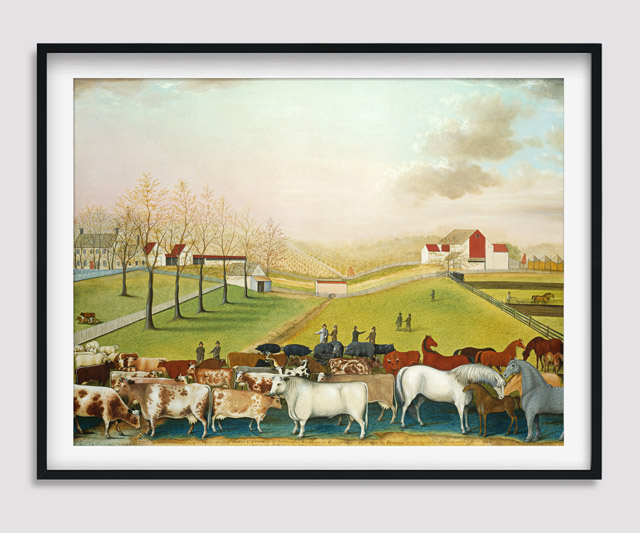 The-Cornell-Farm2.jpg_1
